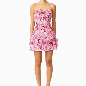 Roseate Floral Mini Dress in Pink